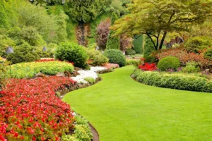 Manutenzione Giardini Novara